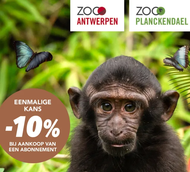 KAVA-korting ZOO-abonnement